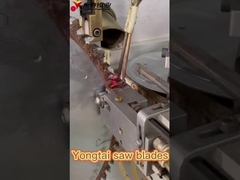 Φωσάν Γιονγκτάι εργοστάσιο πριονιστικών λεπίδων TCT κυκλικές πριονιστικές λεπίδες ξύλο